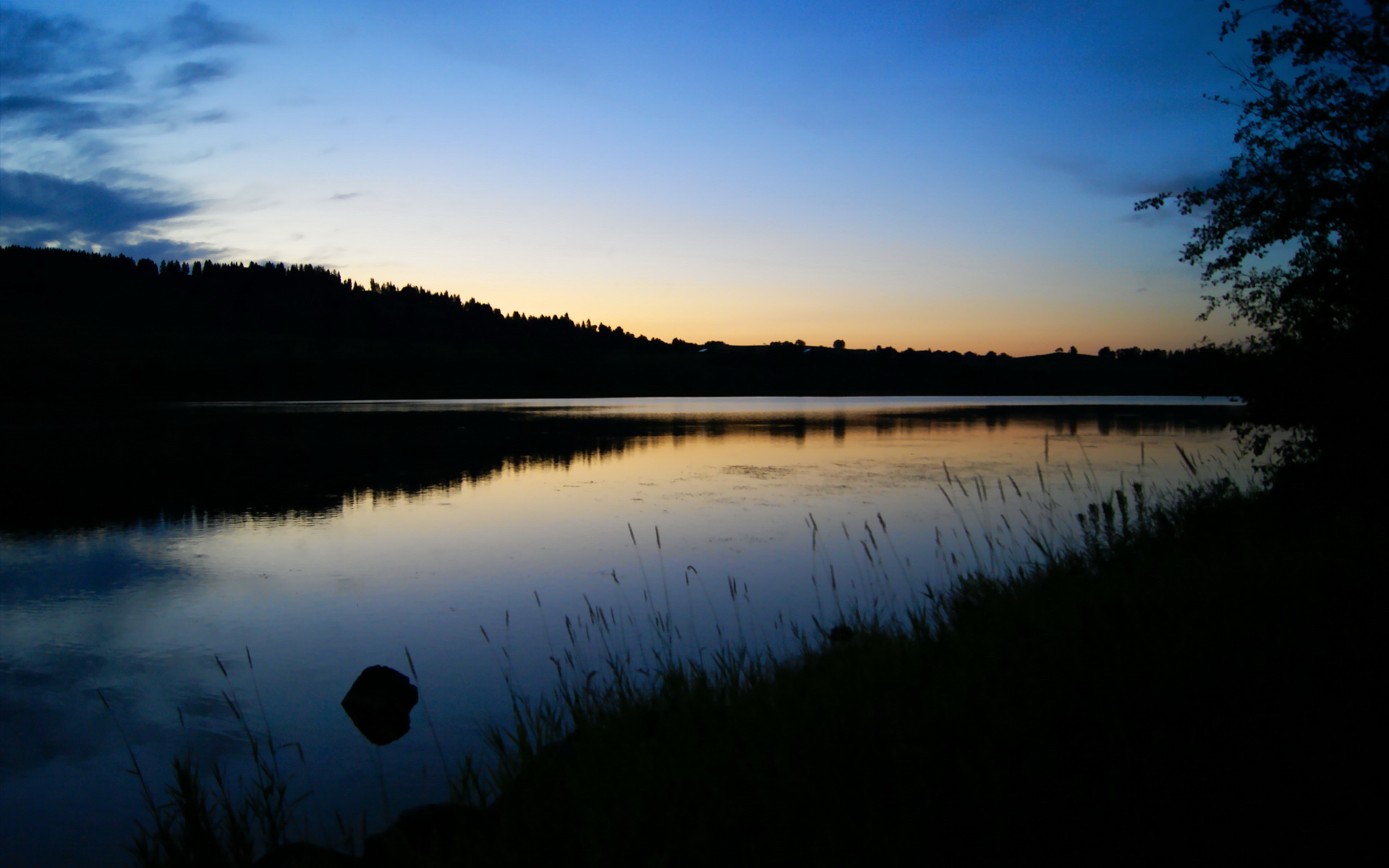 布莱顿防线漏洞频出,海鸥军团欲再创佳绩,布莱顿ds