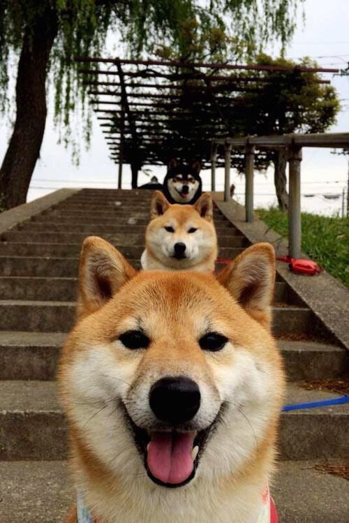 爱游戏娱乐网址-王牌队关键比赛连胜，王牌队关键比赛连胜是哪一集