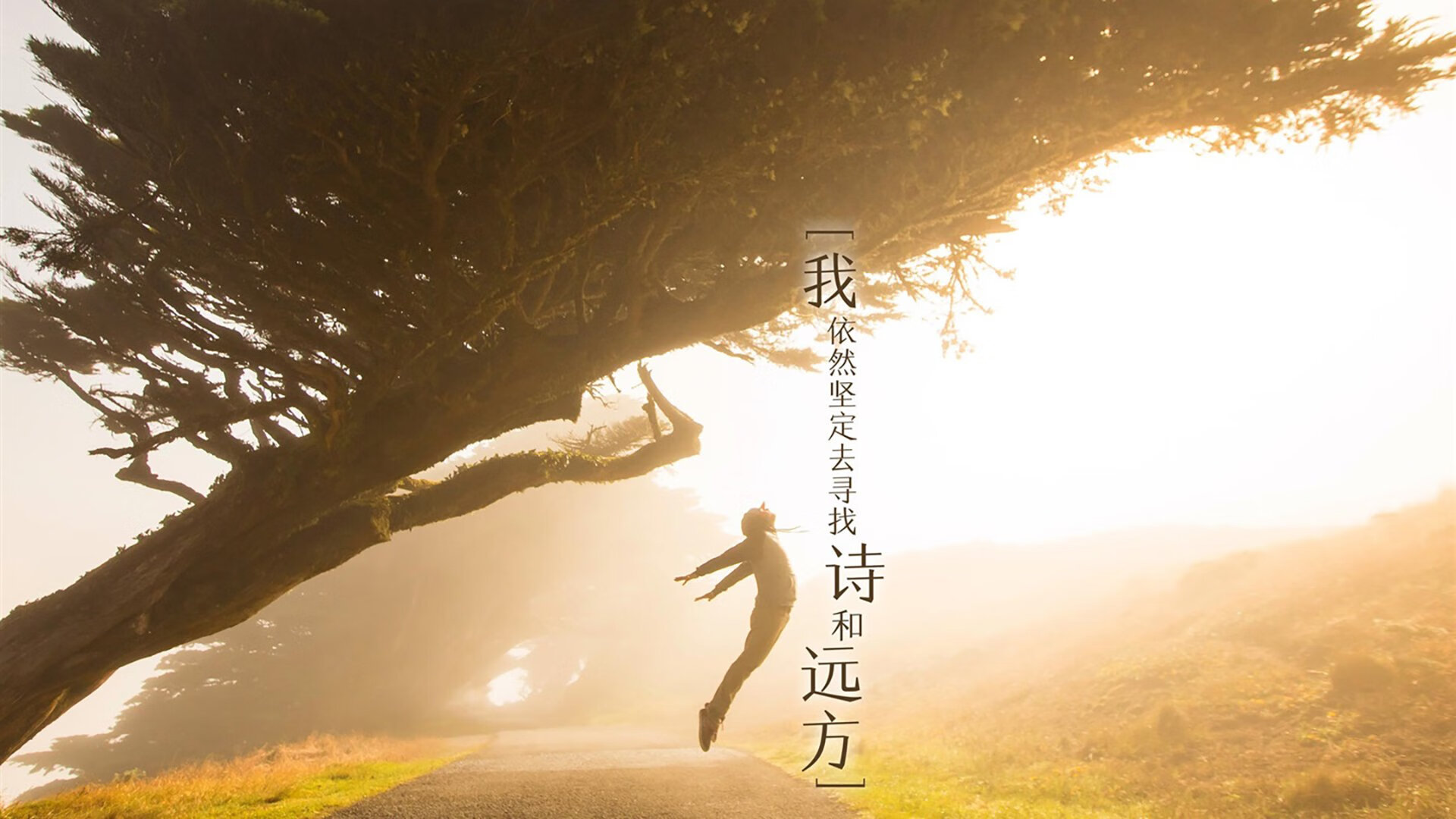 石油人篮板优势明显,石油人篮板优势明显的原因