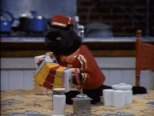 西雅图海湾人球迷支持力度加大,主场气氛火爆