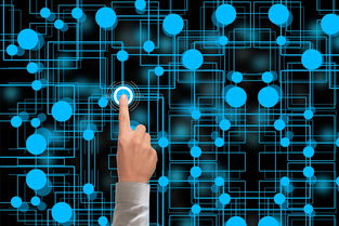 爱游戏平台-冬奥会遗产利用与社会价值实现研究，冬奥会遗产战略计划