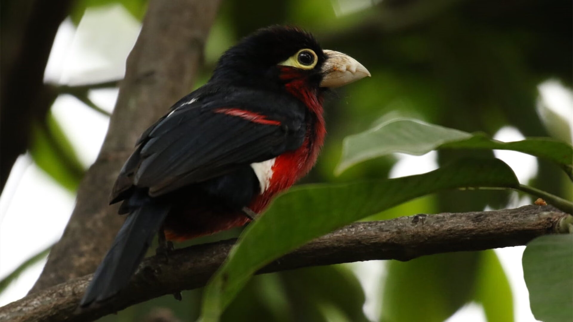 校园体育科技创新活动设计与评估标准,学校体育活动创新