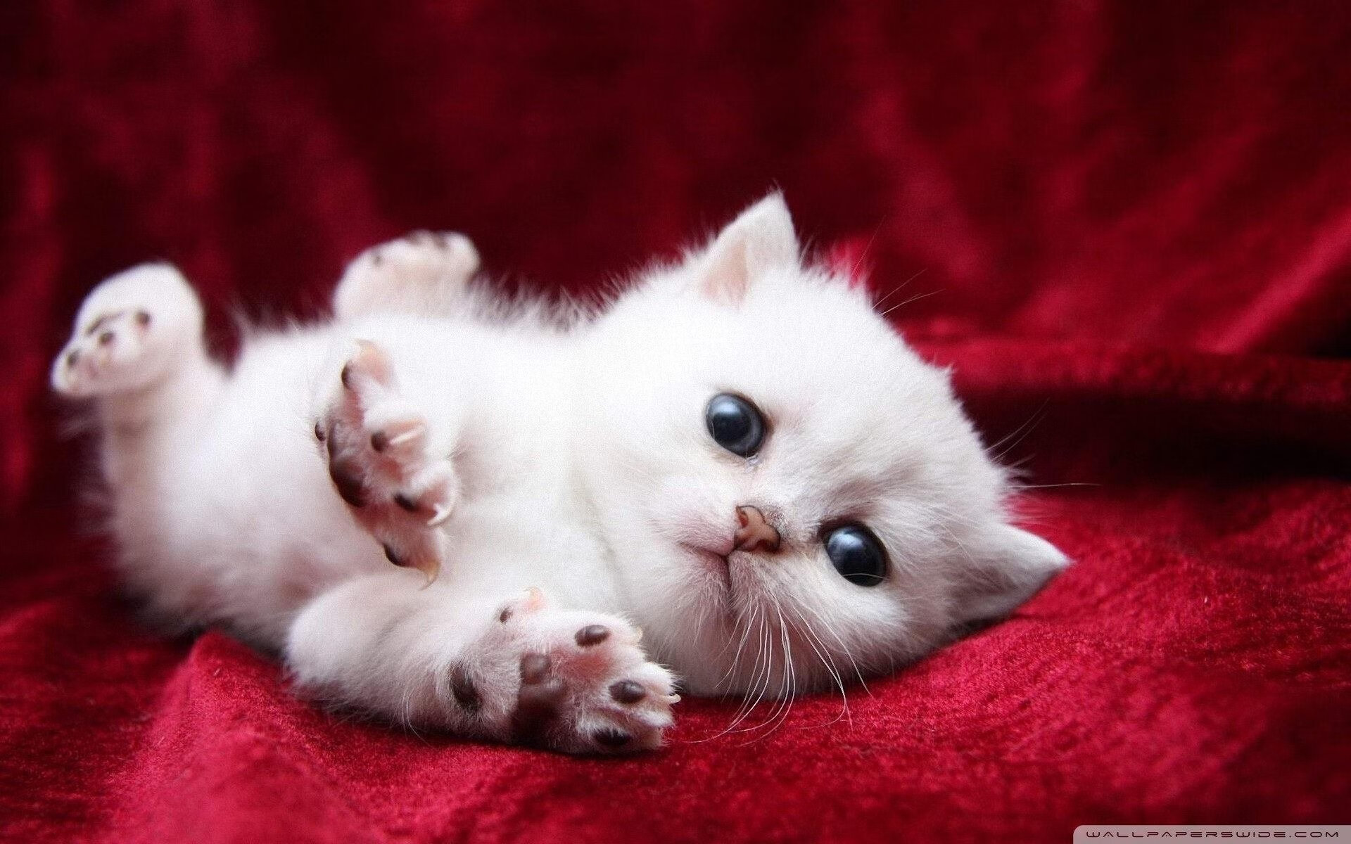 运动装备技术推广应用,运动装备设计