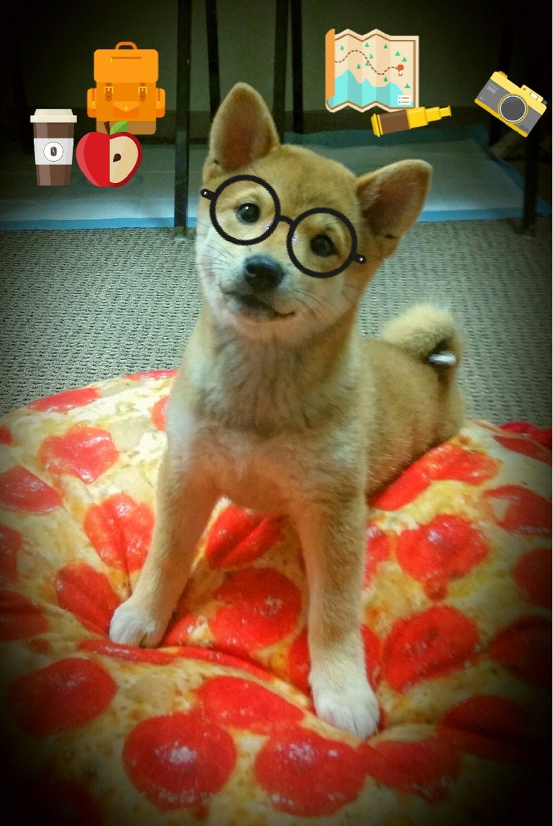 博卡需引入高水平中场,提升控球能力,博卡啥意思