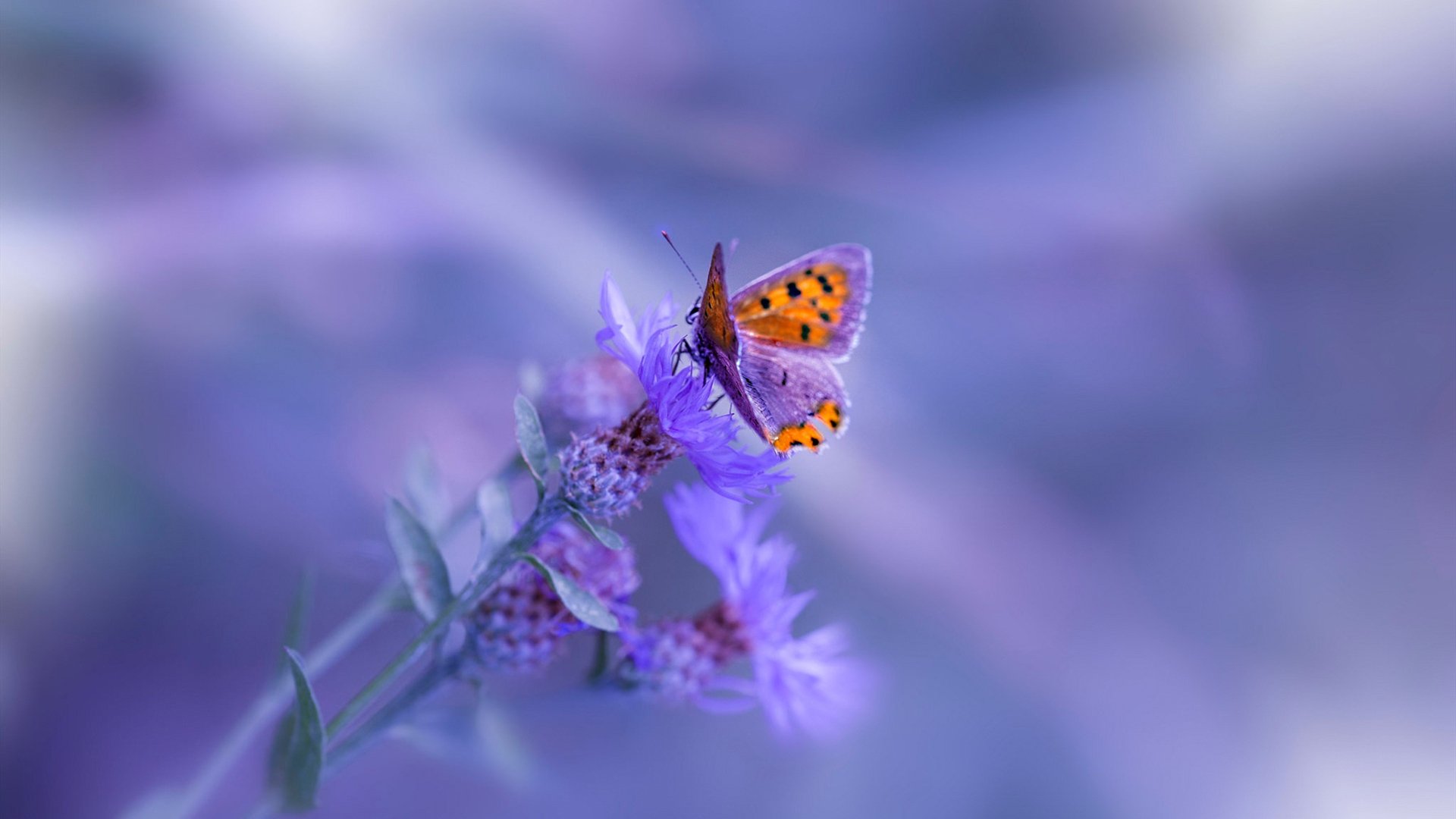 国家队进攻终结手段为何过于依赖突破,国家队进攻终结手段为何过于依赖突破手段