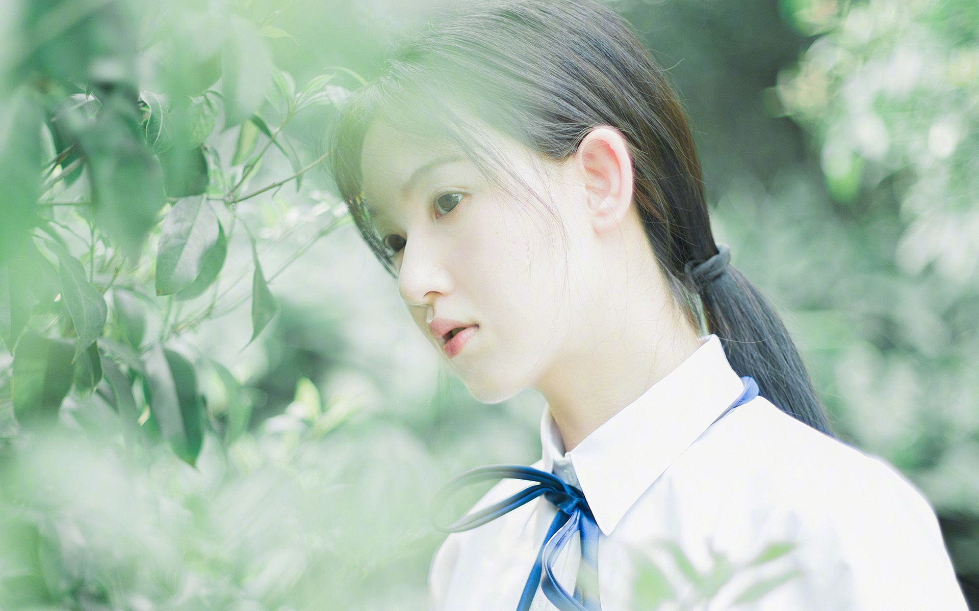 外援引入流程缺少公开透明审查，外援引入流程缺少公开透明审查怎么办