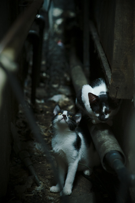 拜仁老将控场全场,经验致胜,拜仁旧将