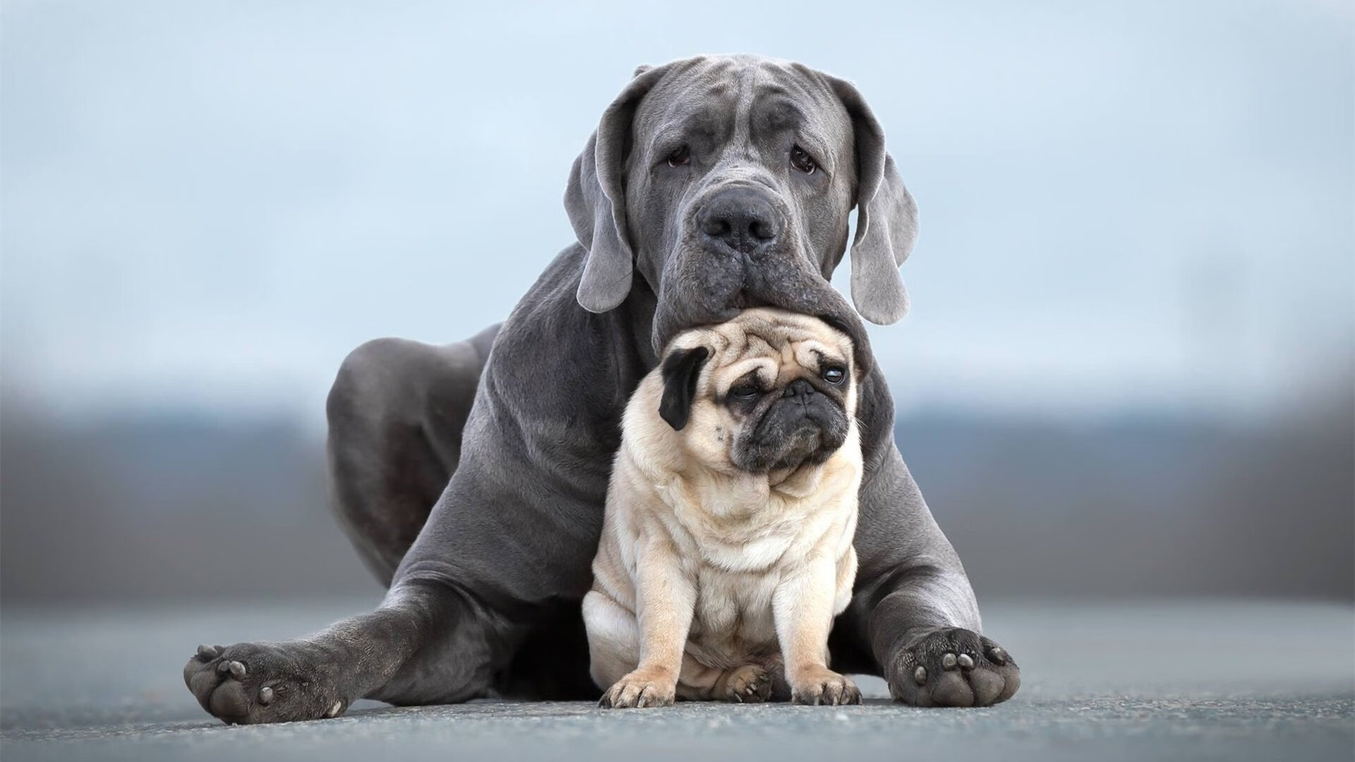 明星运动员形象影响力扩大,运动员成明星