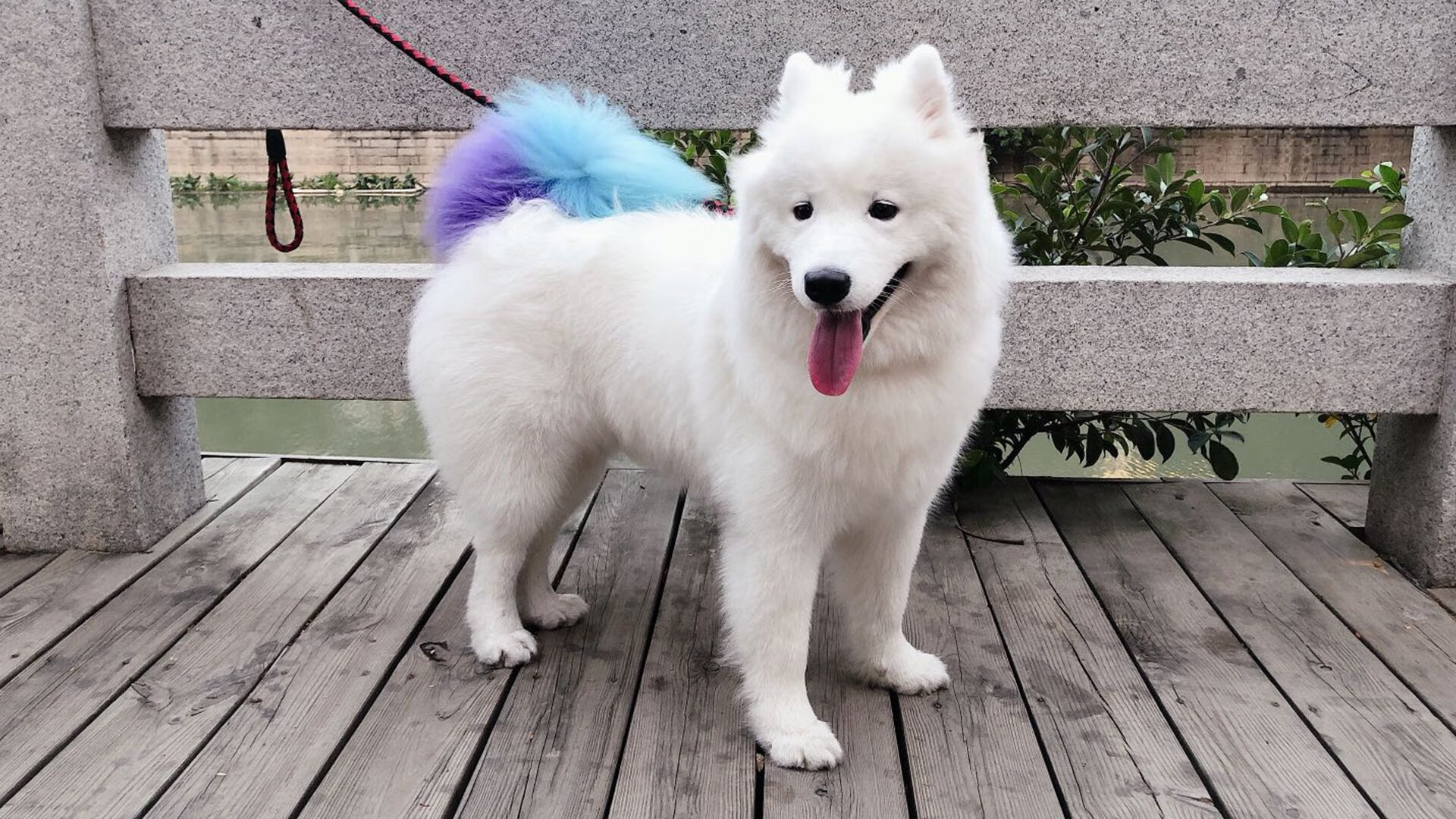 AYX体育-校园足球文化活动被边缘化，校园足球文化活动有哪些