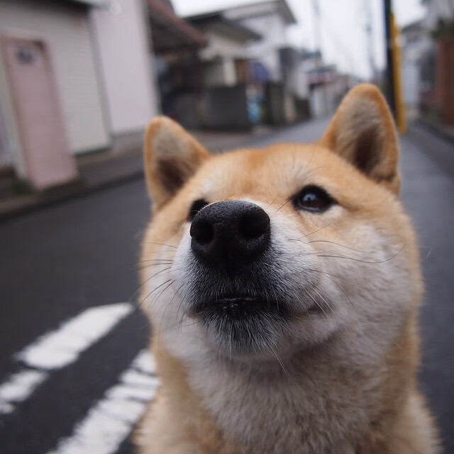 电竞赛事制作水准提升观众体验全面升级,电竞赛事举办平台有哪些