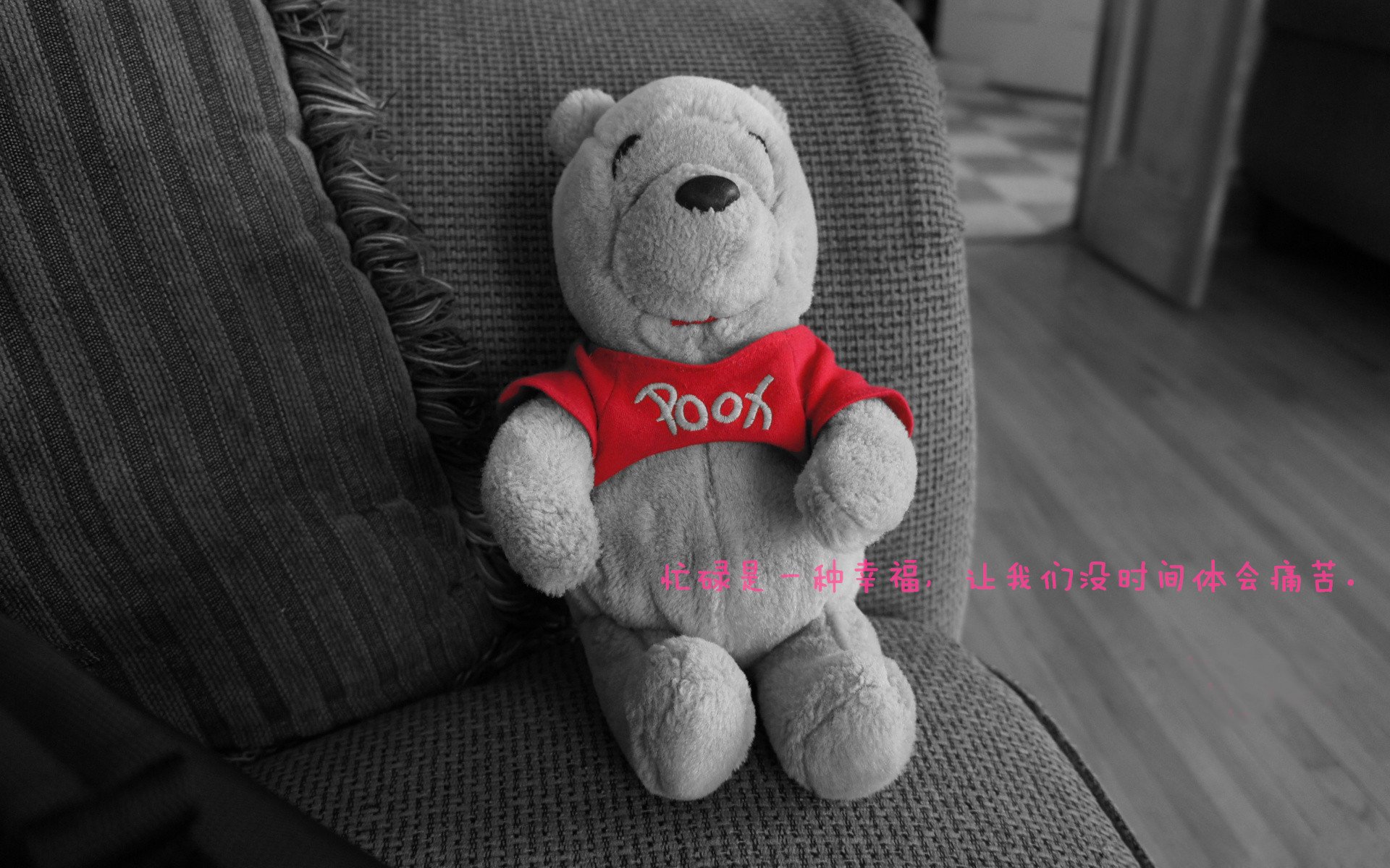 短道速滑训练基地启用智能监测系统,短道速滑项目在哪