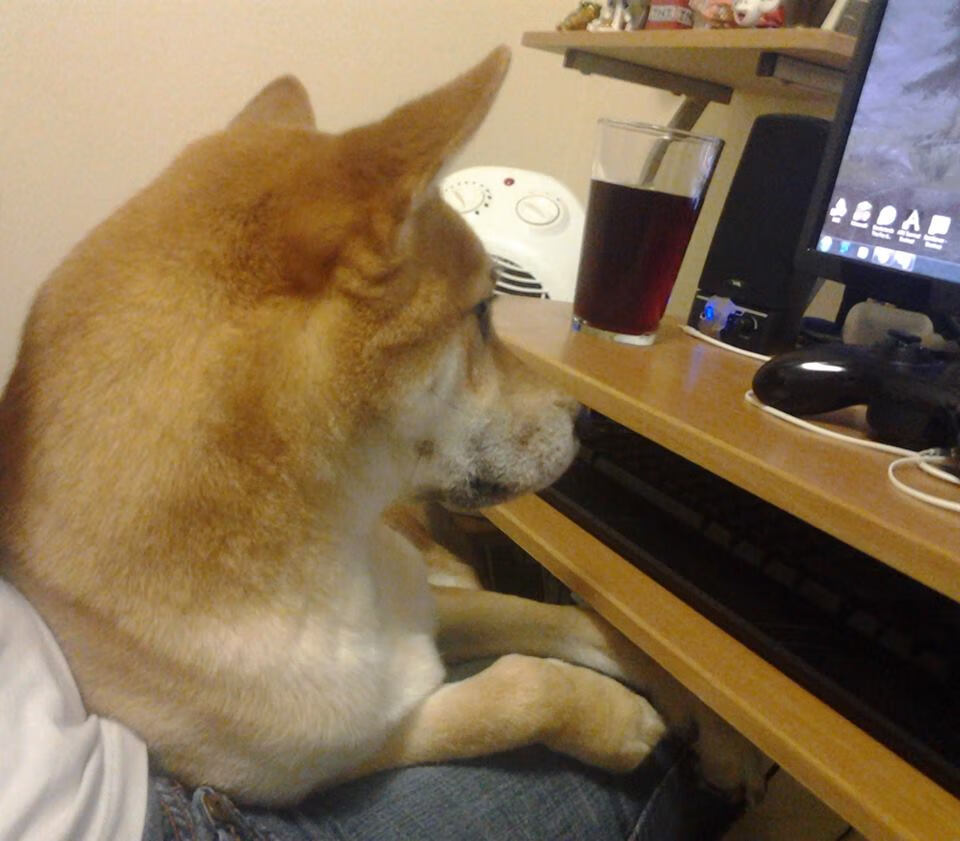 锋线多点开花是否比单核心体系更具长期稳定性,锋线出现在哪