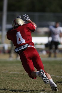 AYX体育官网-CBA赛季转会期开放多支球队进行大规模阵容调整，cba转会动态2021