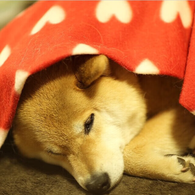 爱游戏官方网站-地方篮球协会加大赛事投入助力地区篮球氛围提升，地方篮协怎么运营