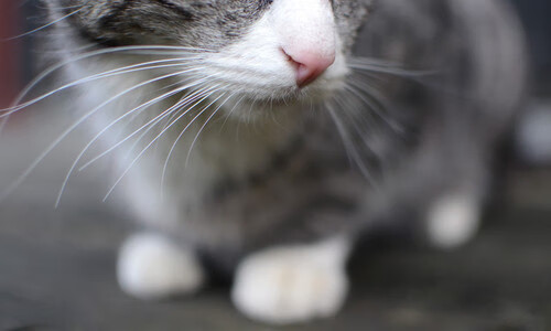 防守体系紧密,区域控制效果明显,进行防守